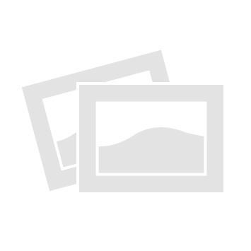 2020 4-STAR TRAILERS 3H RUNABOUT SLANT LOAD 2020 4-STAR TRAILERS 3H RUNABOUT SLANT LOAD