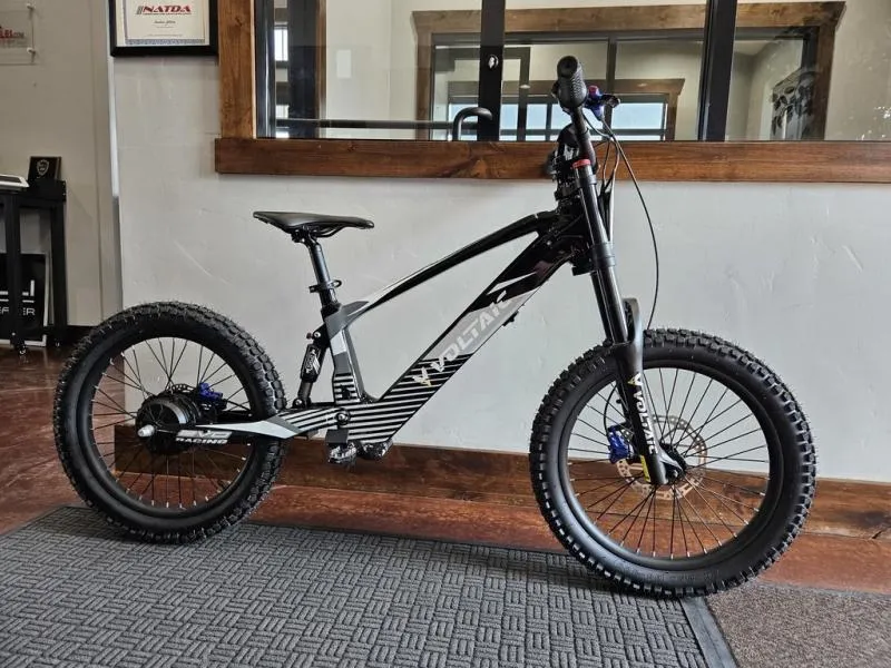 2024 Voltaic Voltaic Youth Electric Dirt Bike 20'' Flying Fox C 