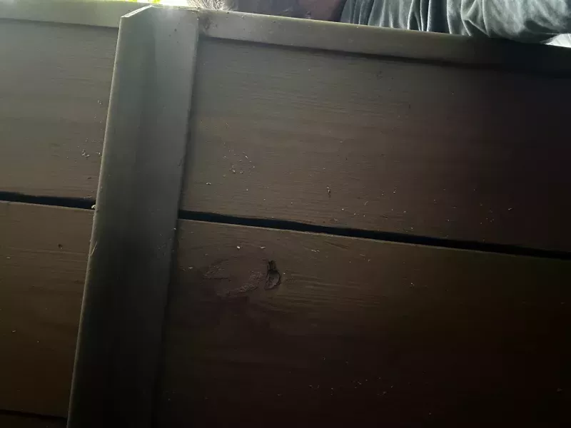 used Horse Trailers Equispirit Horse Trailers  for sale, in Willington, CT Thumbnail 4