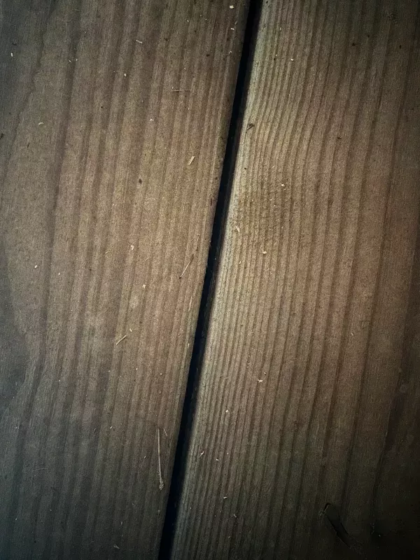 used Horse Trailers Equispirit Horse Trailers  for sale, in Willington, CT Thumbnail 5