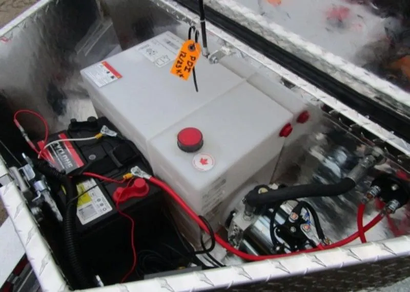 2026 AMP