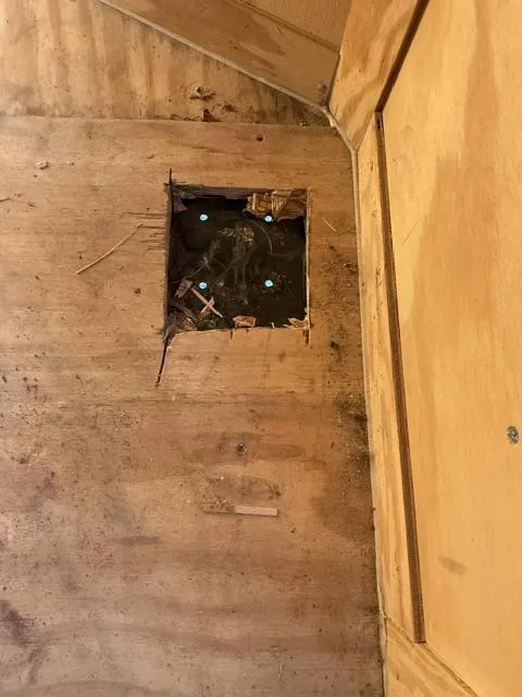 used Cargo (Enclosed) Trailers Rock Solid Cargo  for sale, in Mims, FL Thumbnail 10