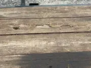 used Equipment / Flatbed Trailers Other  for sale, in Mims, FL Thumbnail 4