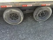 used Equipment / Flatbed Trailers TrailMaxx Trailers  for sale, in Mims, FL Thumbnail 12