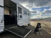 used Other Trailers Cimarron Trailers  for sale, in Omaha, NE Thumbnail 3