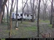 used Other Trailers Starcraft Marine  for sale, in Omaha, NE Thumbnail 2