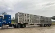 2020 EBY Transpork Livestock Trailer