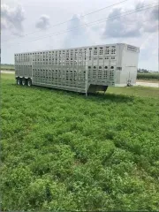 2024 Wilson Silver Star PSDCL-402 