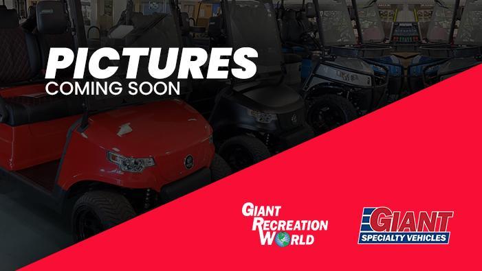 2021 Epic Carts EPIC E40 2021 Epic Carts EPIC E40